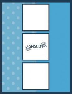 snsc04