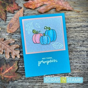 My Favorite Things - Clear Stamp - Autumn Blessings
