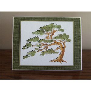 Dreamweaver Stencil - Cypress Tree