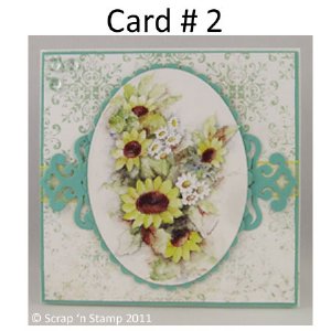 Scrap 'n Stamp Exclusive Card Kit - Flower Garden #2