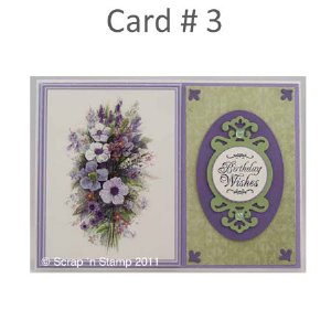 Scrap 'n Stamp Exclusive Card Kit - Flower Garden #2