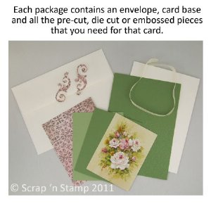 Scrap 'n Stamp Exclusive Card Kit - Flower Garden #2