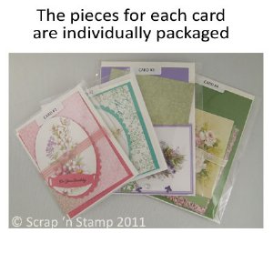 Scrap 'n Stamp Exclusive Card Kit - Flower Garden #2