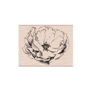 Hero Arts - Wood Stamp - Antique Rose