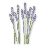 Memory Box - Die - Lavender Bouquet