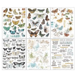 49 and Market - Vintage Artistry Nature Study  - 6X8 Rub-on Transfer Set - Wings