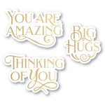 Poppystamps - Hot Foil Plate & Die Set - You Are Amazing Poe Script Greetings