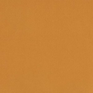 DCWV Premium Cardstock Stack - Natural - 4 1/2" x 6 1/2"