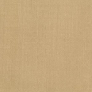 DCWV Premium Cardstock Stack - Natural - 4 1/2" x 6 1/2"