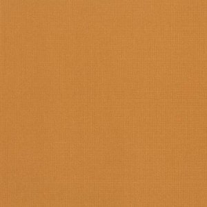 DCWV Premium Cardstock Stack - Natural - 4 1/2" x 6 1/2"