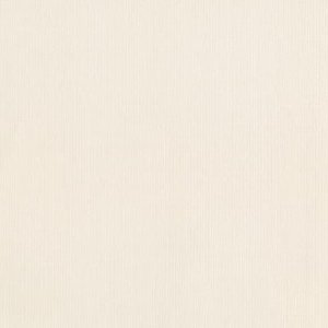 DCWV Premium Cardstock Stack - Natural - 4 1/2" x 6 1/2"