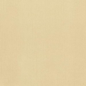 DCWV Premium Cardstock Stack - Natural - 4 1/2" x 6 1/2"