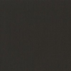 DCWV Premium Cardstock Stack - Natural - 4 1/2" x 6 1/2"