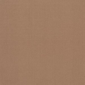 DCWV Premium Cardstock Stack - Natural - 4 1/2" x 6 1/2"
