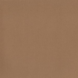 DCWV Premium Cardstock Stack - Natural - 4 1/2" x 6 1/2"