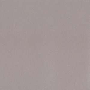 DCWV Premium Cardstock Stack - Natural - 4 1/2" x 6 1/2"