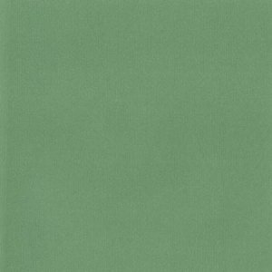 DCWV Premium Cardstock Stack - Mariposa - 4 1/2" x 6 1/2"