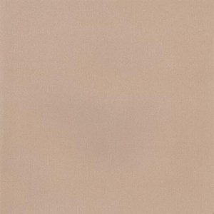 DCWV Premium Cardstock Stack - Mariposa - 4 1/2" x 6 1/2"