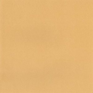 DCWV Premium Cardstock Stack - Mariposa - 4 1/2" x 6 1/2"