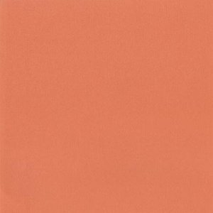 DCWV Premium Cardstock Stack - Mariposa - 4 1/2" x 6 1/2"