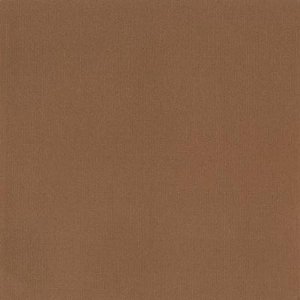 DCWV Premium Cardstock Stack - Mariposa - 4 1/2" x 6 1/2"