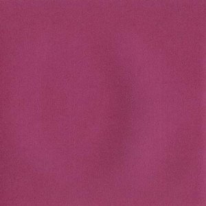 DCWV Premium Cardstock Stack - Mariposa - 4 1/2" x 6 1/2"