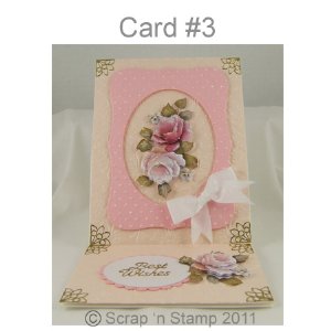 Scrap 'n Stamp Exclusive Card Kit - Rose Garden