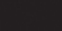 Versafine Quick Dry Pigment Ink Pad - Onyx Black