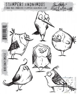 SA_CMS212 Crazy Birds