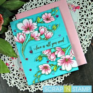 Copic Markers and heat Embossing