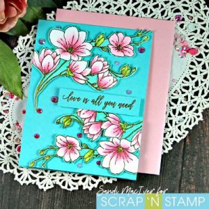 Copic Markers and heat Embossing