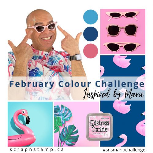 Mario color challenge