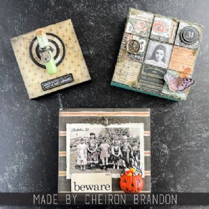 Tim Holtz - Snapshots