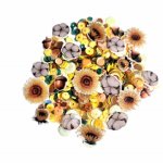 Sweet November - Sequins - Delicate Sunshine Mix
