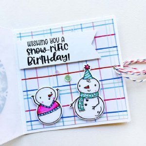 Catherine Pooler - Stamp - Snow-rific Party 