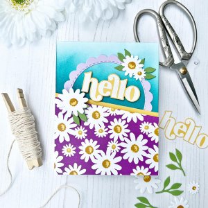 Taylored Expressions - Cling and Clear Stamp Combo - Daisies for Days