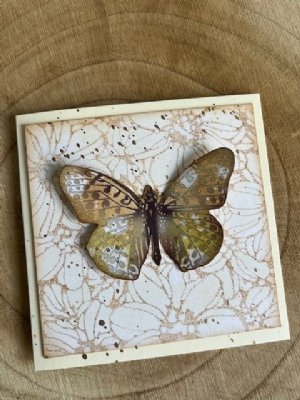 AALL & Create - Ephemera, #34 - Pale Winged