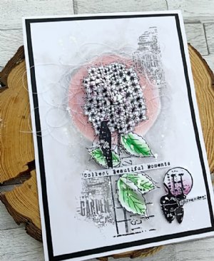 AALL & Create - Clear Stamp Set - #983 - Hiya Drangea!