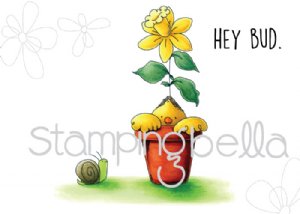 Stamping Bella - Cling Stamp - Budding Chick ( 3 Stamps)