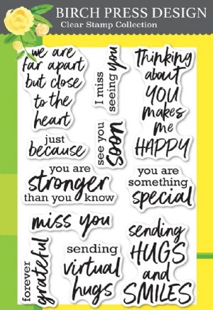 Birch Press Designs - Clear Stamp - Brush Sentiments