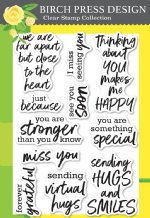 Birch Press Designs - Clear Stamp - Brush Sentiments