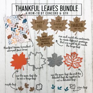 Concord and 9th - Dies - Thankful Leaves