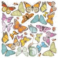 Ciao Bella - Vellum Paper  - Enchanted Land