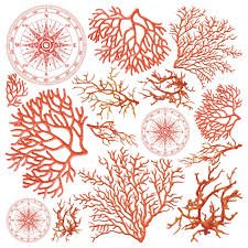 Ciao Bella - Vellum Paper  - Coral Reef