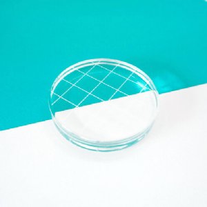 Catherine Pooler - Acrylic Grid Stamping Block - 2 1/4" Round