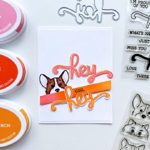 Catherine Pooler - Clear Stamps - More Peeking Pets