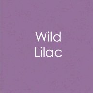 Gina K - Envelopes - Wild Lilac