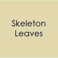 Gina K Designs - Cardstock - Skeleton Leaves