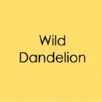 Gina K Designs - Cardstock - Wild Dandelion