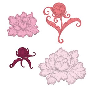 Heartfelt Creations - Die - Peony Bud And Blossom
